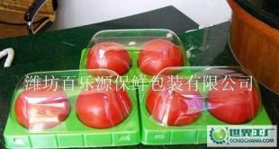 水果專用物理保鮮盒 選購指南與市場(chǎng)概覽